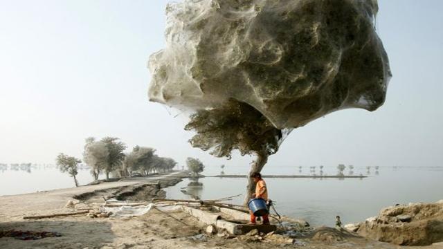 Sindh plūdi Pakistānā 2011... Autors: Mūsdienu domātājs Neaizmirstamākās fotogrāfijas no katastrofām! TOP25
