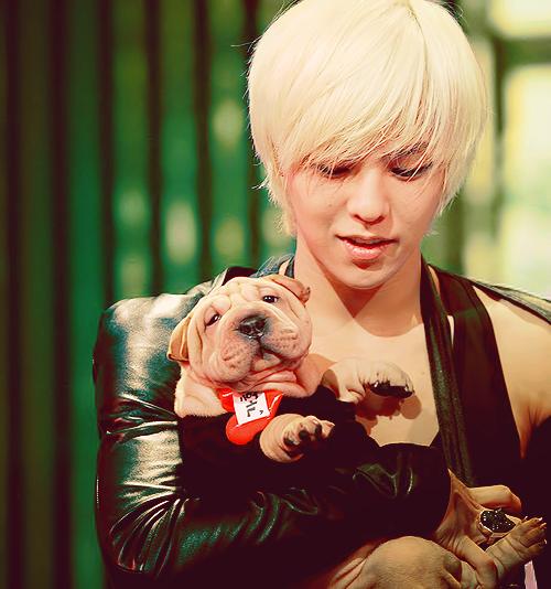 Viņam ir suns vārdā Gaho Autors: Tomakesita G-Dragon
