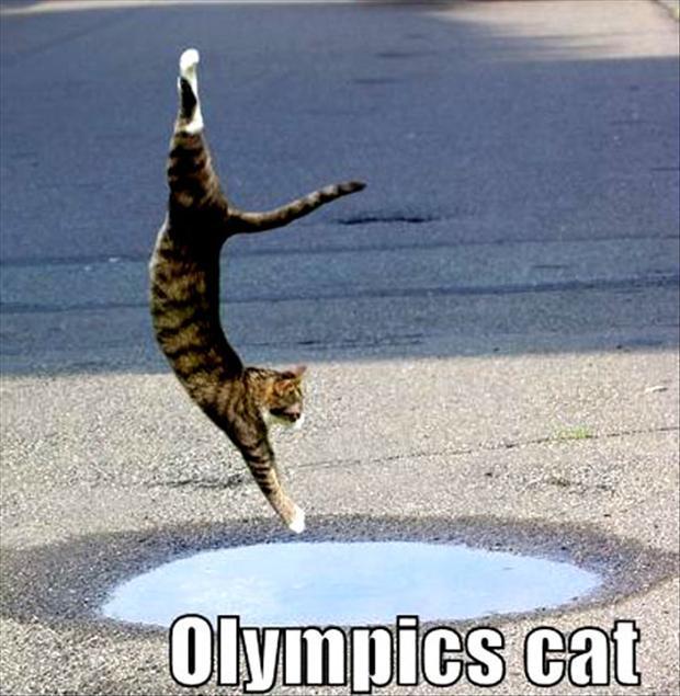  Autors: Fosilija Ar smaidu par olimpiādi !