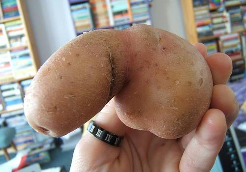 Ieraugot kartupeļus sapratu ka... Autors: rasty Esmu samaitāts, vai kā?