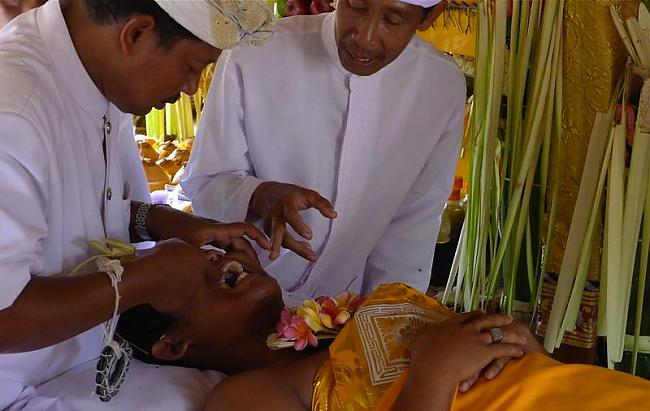 Bali Indonēzijā tikmēr viss... Autors: Moonwalker Nežēlīgākie pārejas rituāli