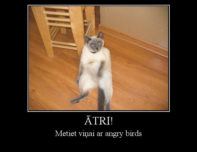  Autors: Colonel Meow ātri!