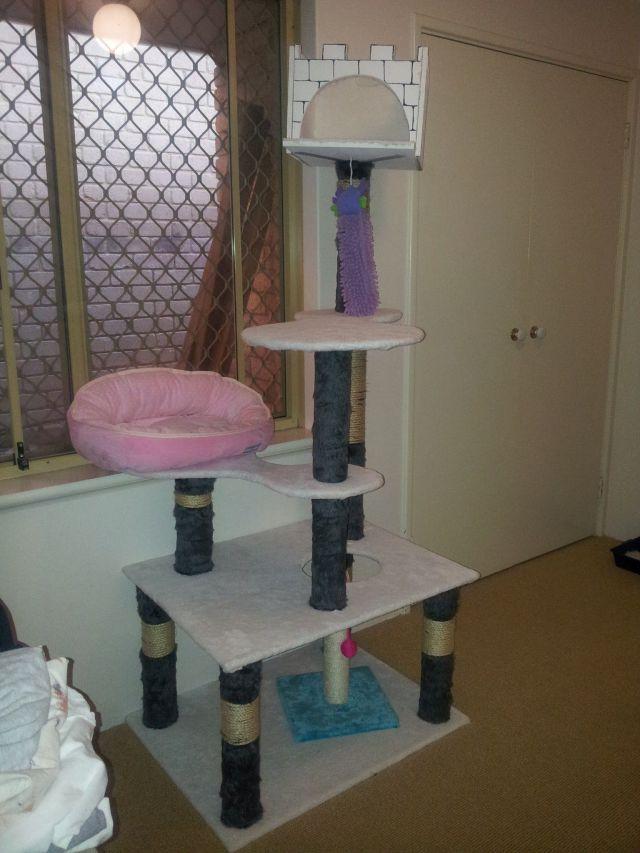  Autors: Colonel Meow Meitene savam kaķim uzbūvē tornīti.
