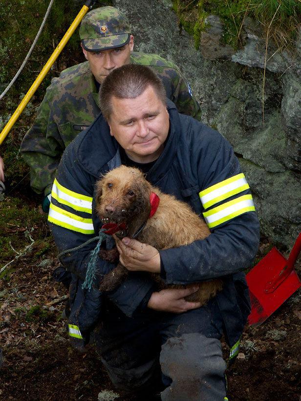 Autors: Colonel Meow Suņus izglābj no nāves.