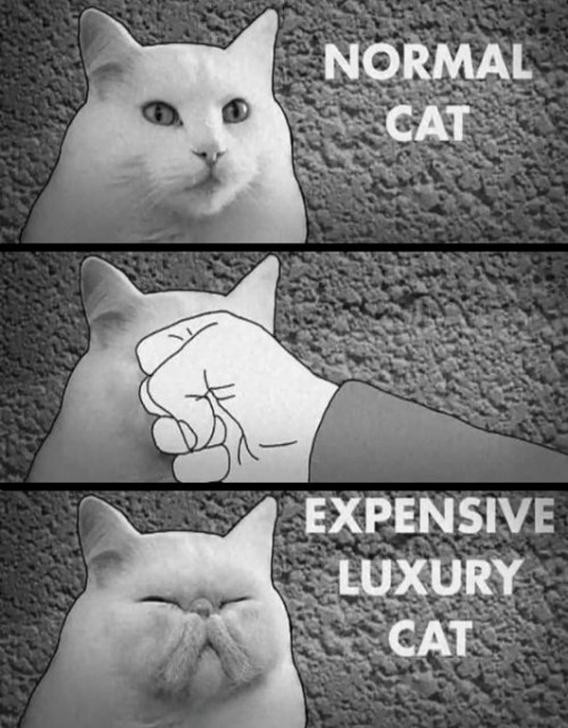  Autors: MIGATRONIC funny pictures....