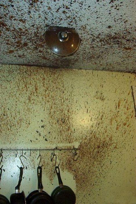  Autors: Fosilija Tā ir patiesība,notiek taču tā!