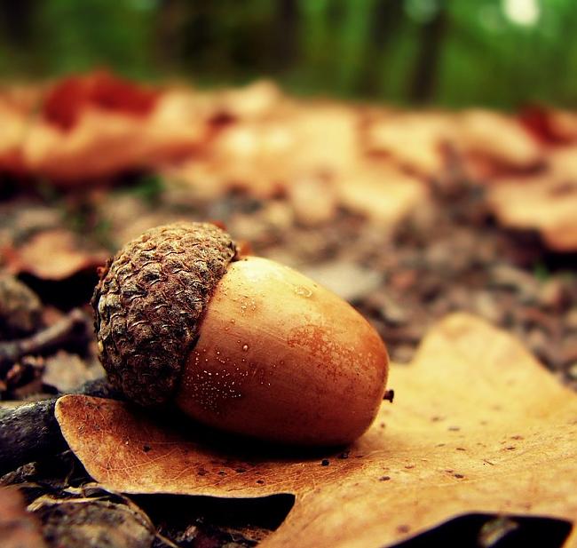  Autors: heartless Autumn.