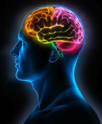 45 reizes diennaktī nomainās... Autors: Akumulators Some shit about brain.