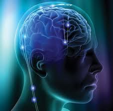 Smadzenes sver 13001400 g... Autors: Akumulators Some shit about brain.