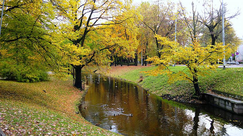  Autors: Ragnars Lodbroks Zelta rudens in LV