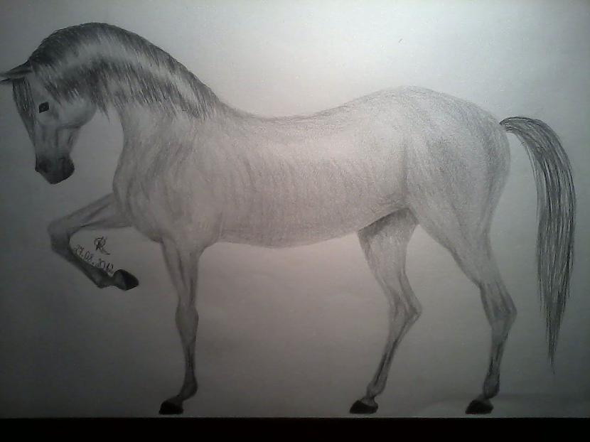 Sirms pasaku zirgs ar melnām... Autors: Everbergerdīne Zīmēju 3
