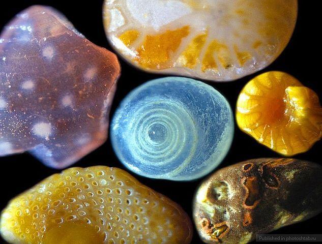 Smilscaronu graudi mikroskopā Autors: Raacens Apbrīnojami dabas skati.