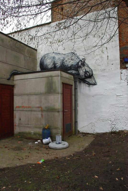  Autors: bubina696 dzīvnieki uz sienas.....