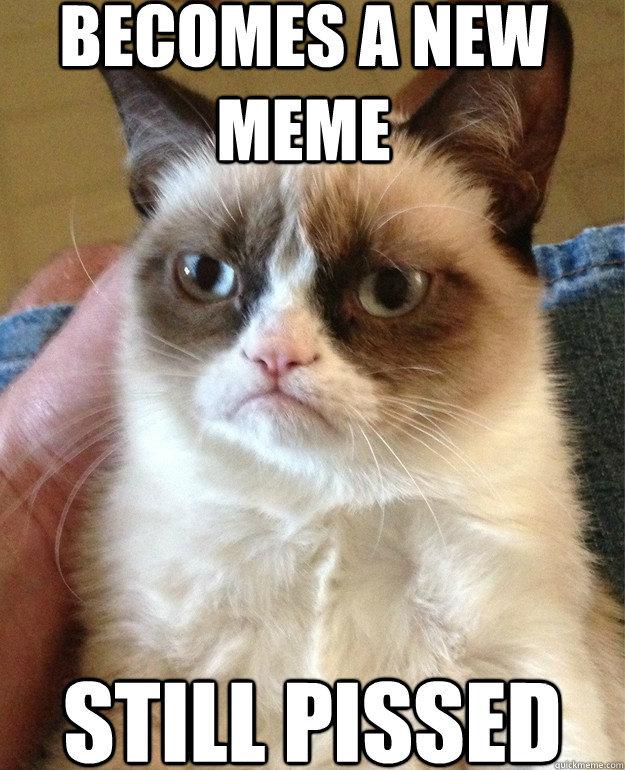  Autors: TheOne Grumpy cat