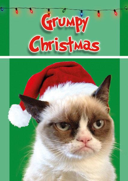  Autors: TheOne Grumpy cat