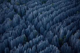 Akmens mežs Madagaskarā Autors: Haltur4iks Fakti un bildes...