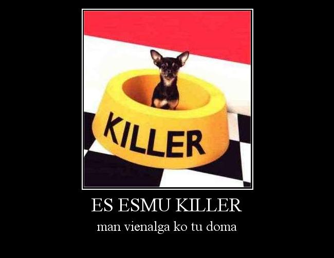 es esmu killer