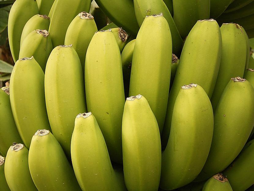 Banāni satur daudz vitamīna B6... Autors: Ben4iks Fakti par augļiem [3]