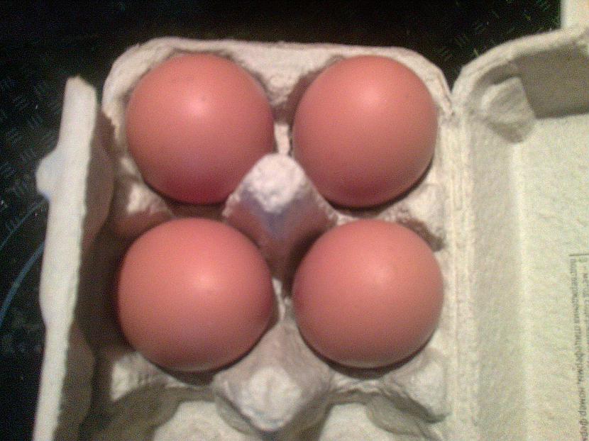 sameklējam olas ja nav aizejam... Autors: YOSLOWAG Studentu Pica.