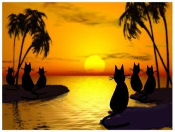 Indijas okeānā ir neliela sala... Autors: Kaprālis Fakti par kaķiem