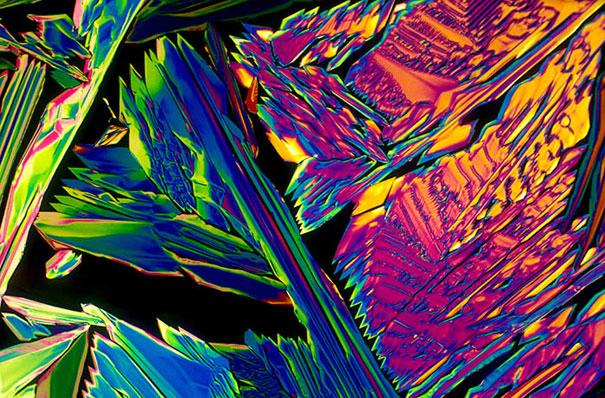 Čehu pilzeners Autors: Fosilija Alkoholiskie kokteiļi zem mikroskopa