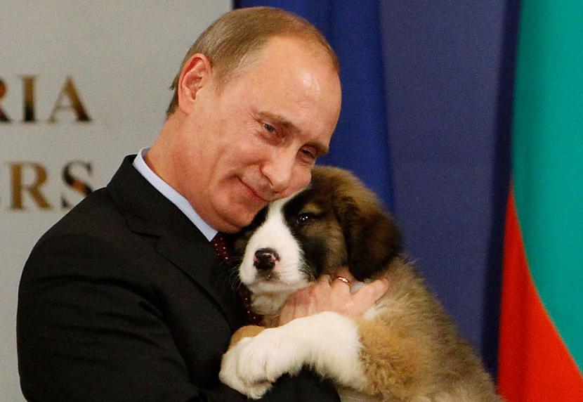 Vladimirs Putins mīļo Bulgāru... Autors: Fosilija Supermens Putins
