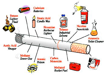 No kā sastāv cigaretes Autors: Fosilija Pīpēšana