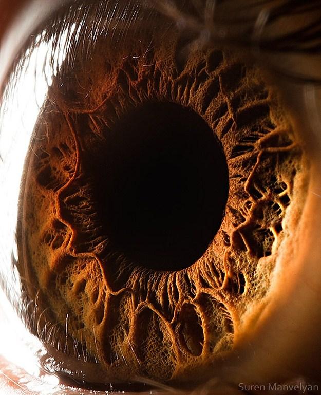  Autors: monta kalmane@speles Amazing Macro Photos Of Human Eyes
