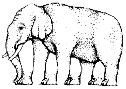 Kuras ir ziloņa īstās kājas Autors: spociņš1999 Optiskā ilūzija