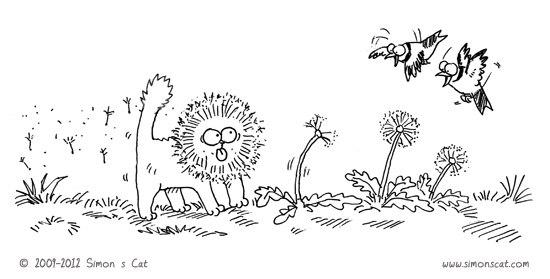  Autors: alieee Simon's Cat