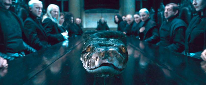 Nagini ir tā pati čūska ko... Autors: wurry Harija Potera fakti 3