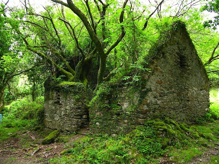 Pamesta māja Īrijā Autors: Franziskaner Cilvēku pamestas vietas