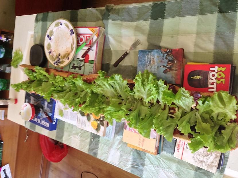 Pievienojam salātus skatam Autors: BaconBoys EPIC atgriežas ar LIELbageti!