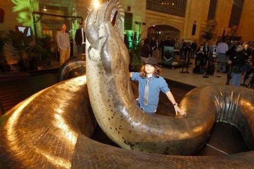 Titanoboa garums 15 m un svars... Autors: Raziels Aizvēsturiskie milzu briesmoņi