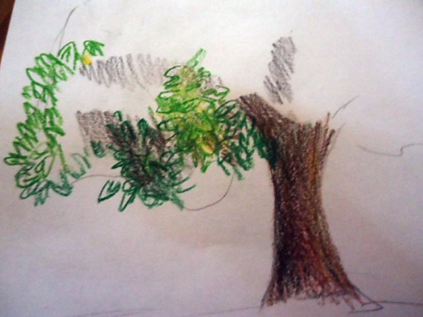 Pacietība jums noderēs Autors: almazza Kā izkrāsot koku (bildes, apraksts)