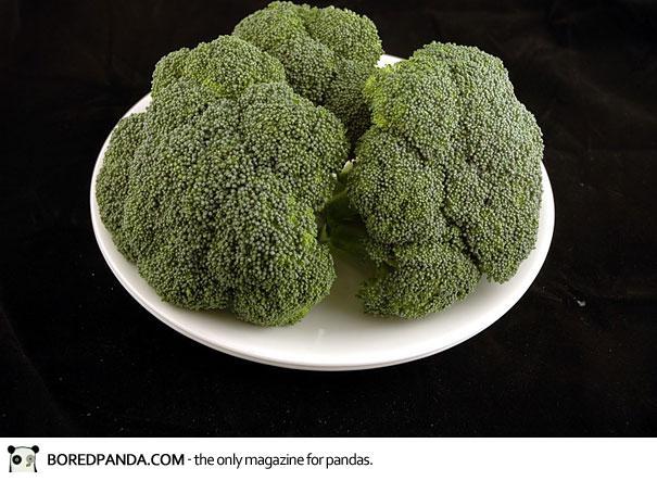 Brokoļi 588 grami  207 oz Autors: apalepeks Kā dažādos ēdienos izskatās 200 kalorijas?