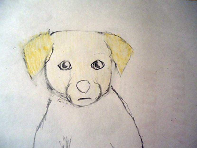 Iekrāsojam to ar tumscaroni... Autors: almazza Kā uzzīmēt un izkrāsot suni