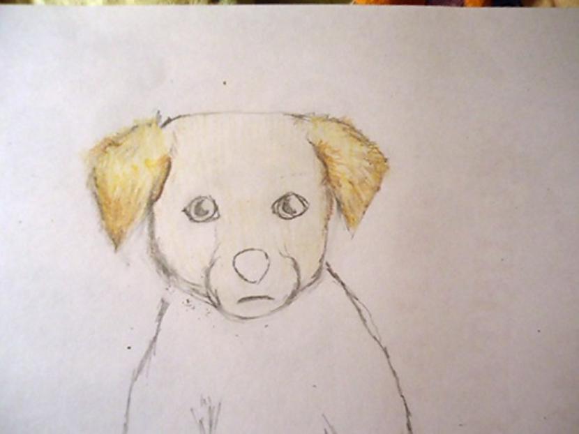 Pāri pārkrāso ēnām gaiscaroni... Autors: almazza Kā uzzīmēt un izkrāsot suni