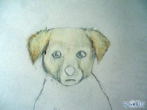 Sejā iekrāso ēnas ar melno... Autors: almazza Kā uzzīmēt un izkrāsot suni