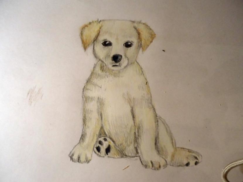 Vēl scaronur tur piekrāso... Autors: almazza Kā uzzīmēt un izkrāsot suni