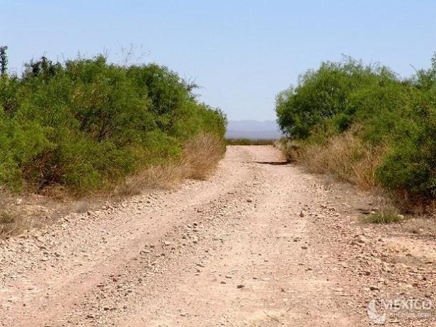 Meksikā Mapipē tuksnēsi ir... Autors: Karalis Jānis Mistiski fenomeni.
