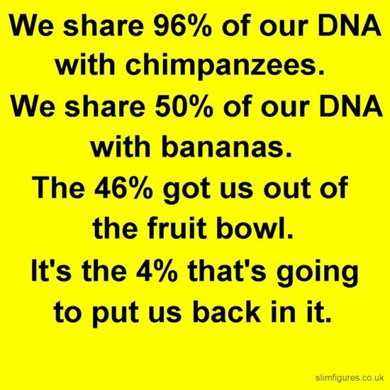 Tomēr mūsu ēstajiem banāniem... Autors: Fosilija Biedējošā patiesība par banāniem