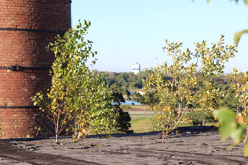  Autors: kpot Liepāja-Vecā Laumas katlumāja