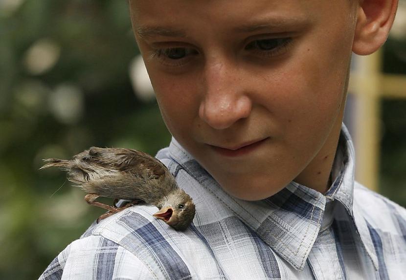 12 gadus vecais Vadims no... Autors: Fosilija Zēns un zvirbulis