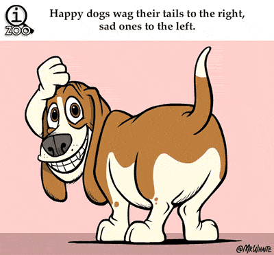 Kad suns ir apmierināts tad... Autors: Raziels Fakti un gifi-2