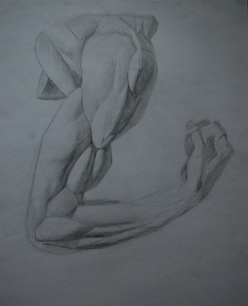 Scarono zīmējām anatomijā 3... Autors: finn the human Mana daiļrade.
