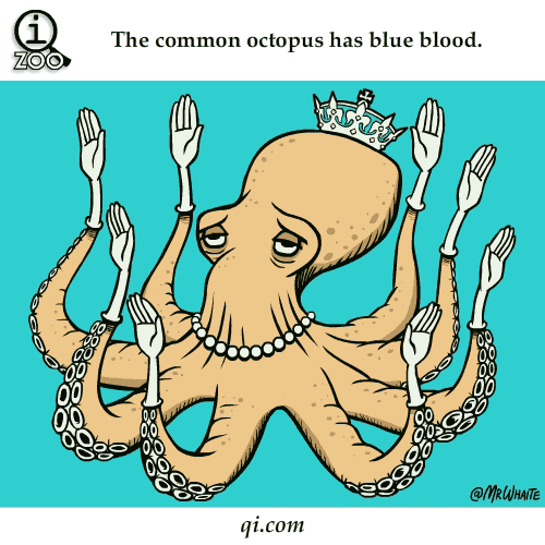 Parastajam astoņkājim Octopus... Autors: Franziskaner 10 animēti fakti