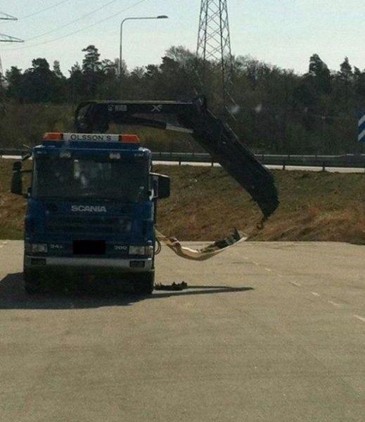  Autors: Fosilija Ļoti piemērotas vietas miegam.