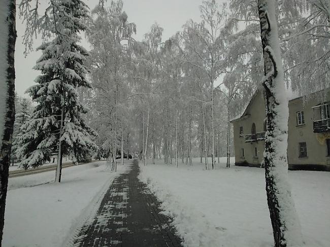  Autors: ORGAZMO Dobele zem sniega segas.
