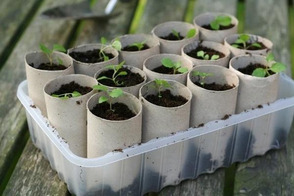 10 ieteikumi, kas palīdzes dažādas  situācijās